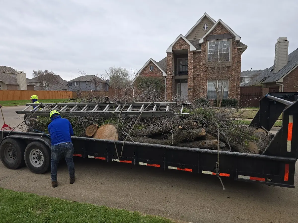 Expert Lot Clearing with proper safety equipment in Collins Center